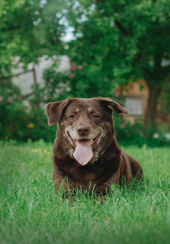 IMG-2eaf3c46136c06d894922420aa8f4182-V