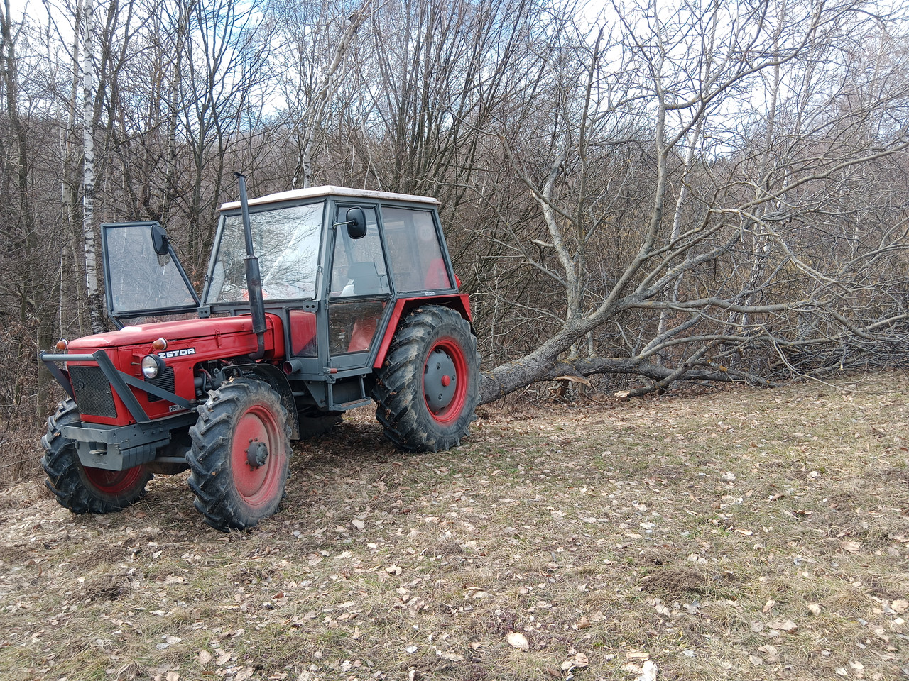 IMG 20260308 104854 956