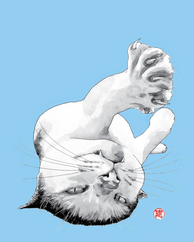 13