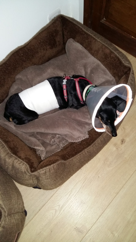 [Image: 20210929-104305-1.jpg]