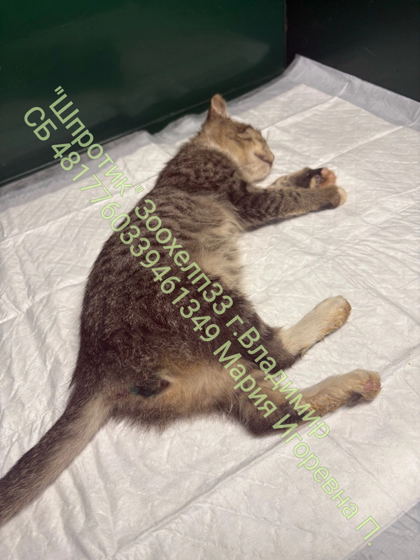 4Gi6hP1ckcF6BiqVaSr_dviO7c5j8i8QKpJJdVxMqf7IGbvLmm7ltMrYdBDnB8NEbDp-LvawHx97hKgVOOgQpQuT_wm