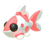 Koi Carp