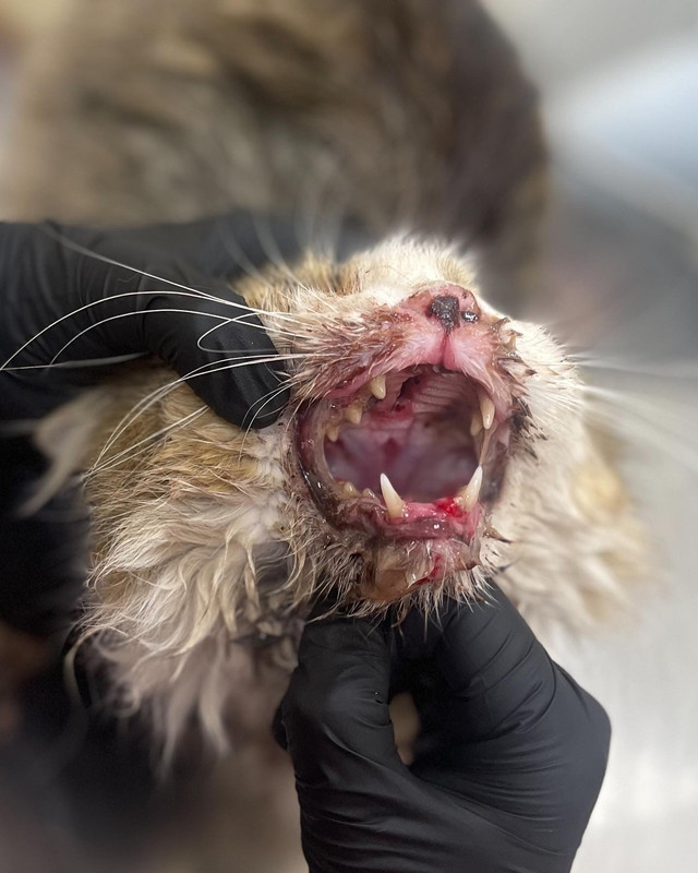 6F839046-505F-408B-BA9E-9BD65D79F76D