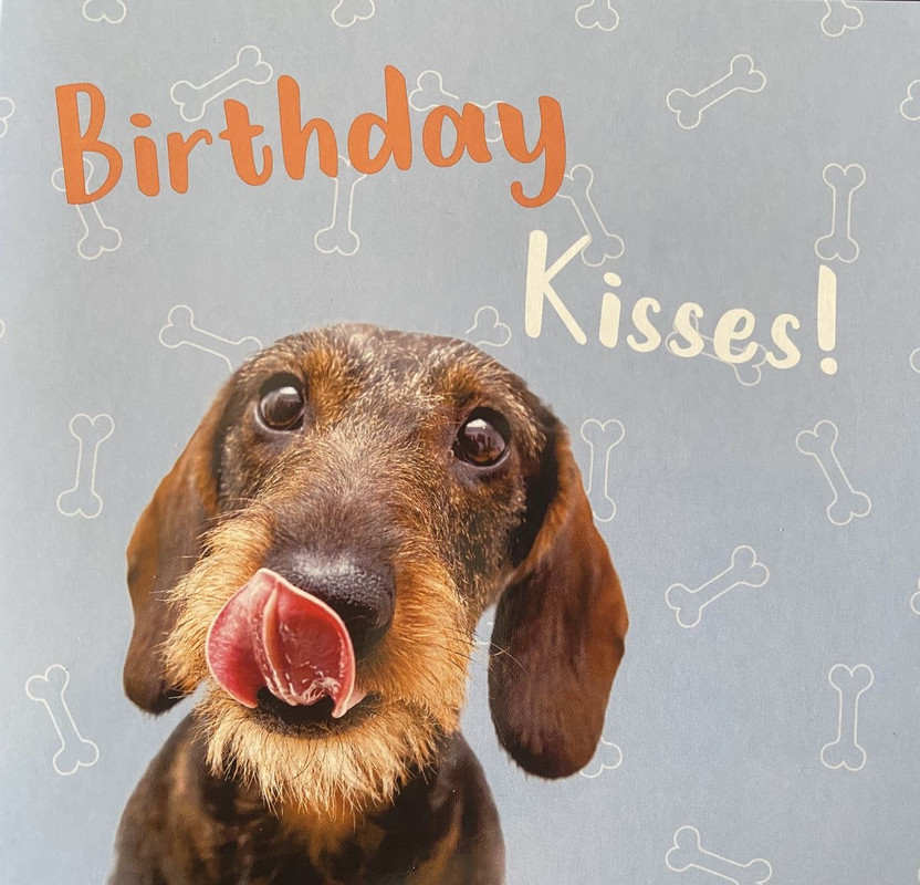 [Image: IMG-0531.jpg]