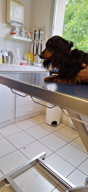 [Image: 20250606-174821.jpg]