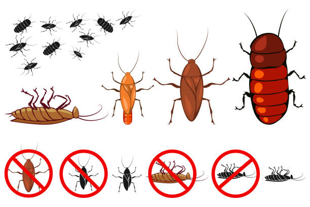 cockroach-exterminator-5.jpg