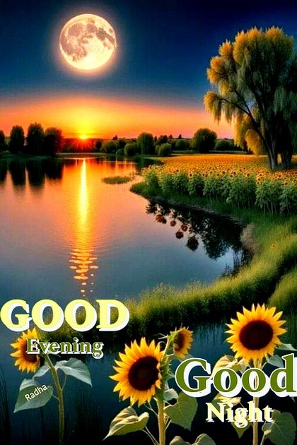 evening