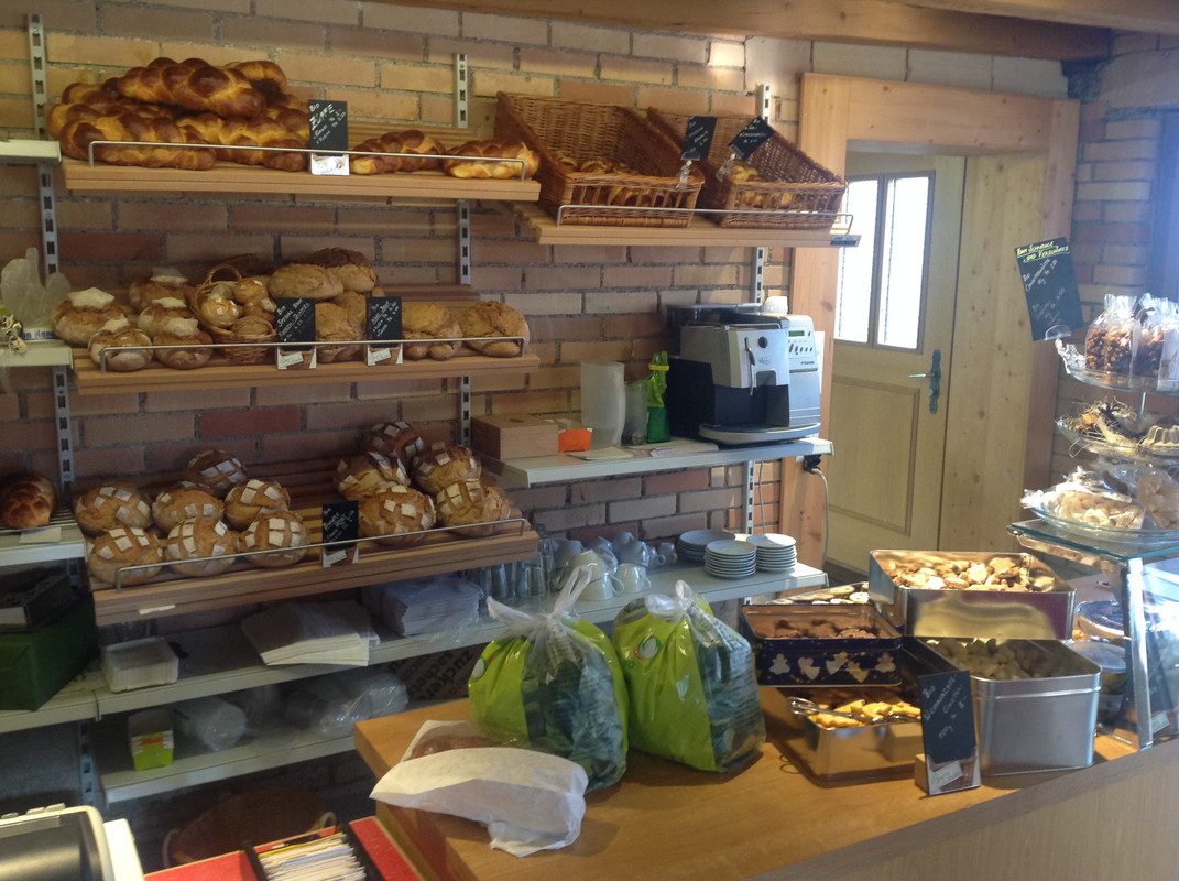 Biochratte 24.12 (1)