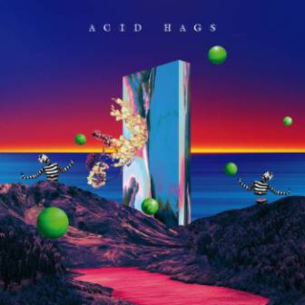 [Slika: Acid-Hags2020-folder.jpg]