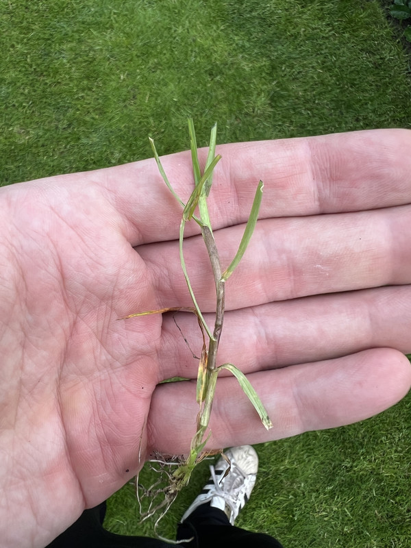 B48BD425-EDF7-4847-AEF4-80DC220F08D3