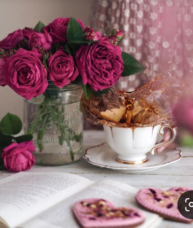 Screenshot_20230329_235706_Pinterest