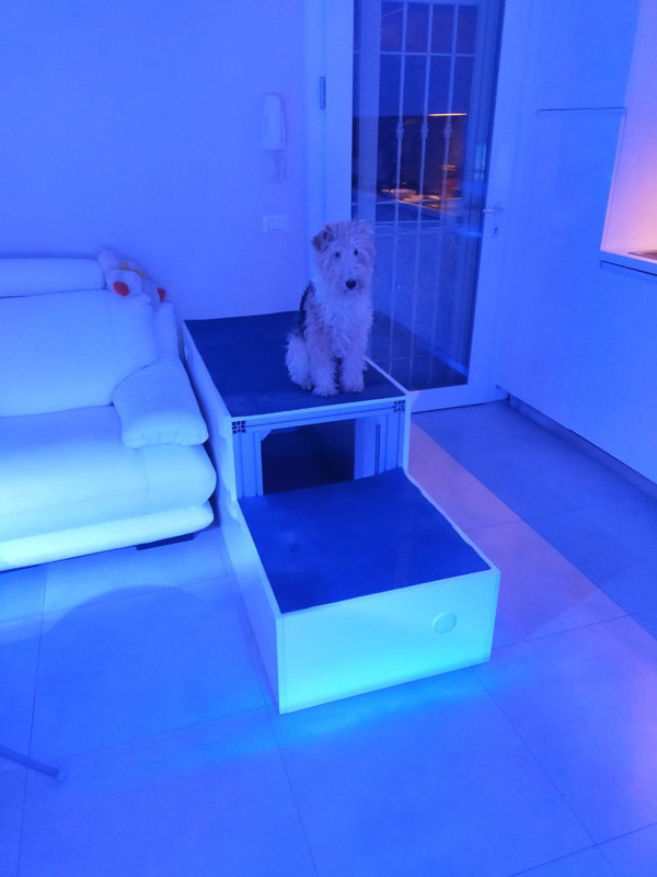 64AA36F1-415B-4960-92C7-2386C8E290B0