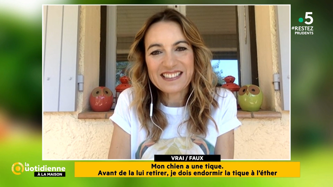2020-05-27_11_55_Fr5_La-quotidienne.mp4_snapshot_00.21.13.021