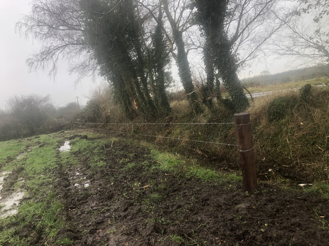 00B7C9DF-5E44-4A2C-9452-0A9E859CFE81