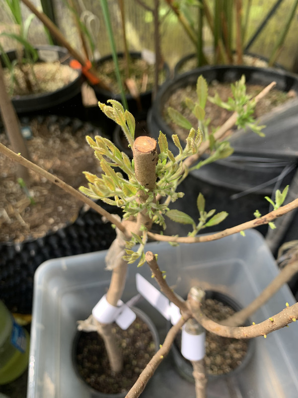 82B7BEB3-1964-476A-8882-742FF7070AC9