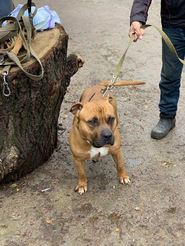 FED14A84-98B9-4878-8CBB-31957AF0BB78