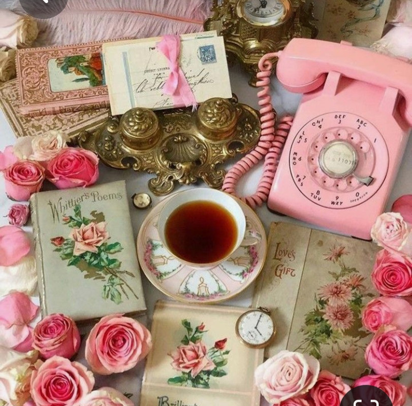 Screenshot_20230312_014200_Pinterest