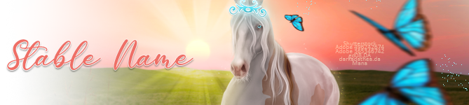 Field-Princess-BANNER