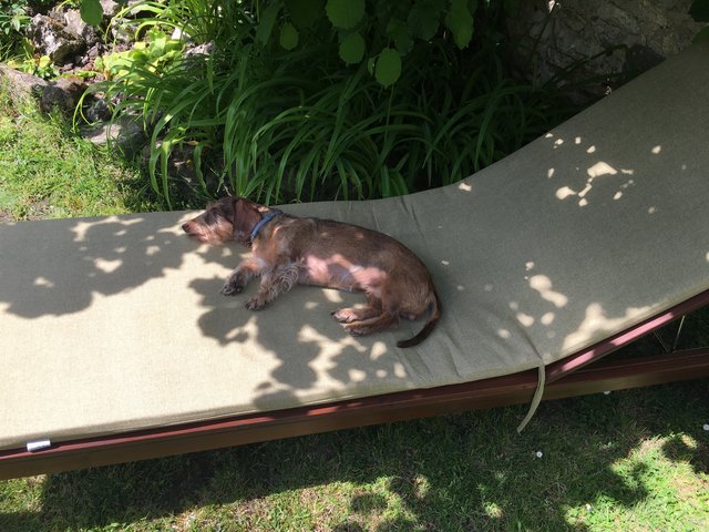 [Image: A1-C115-AD-3309-4-D3-D-821-E-FCC4087830-E1.jpg]