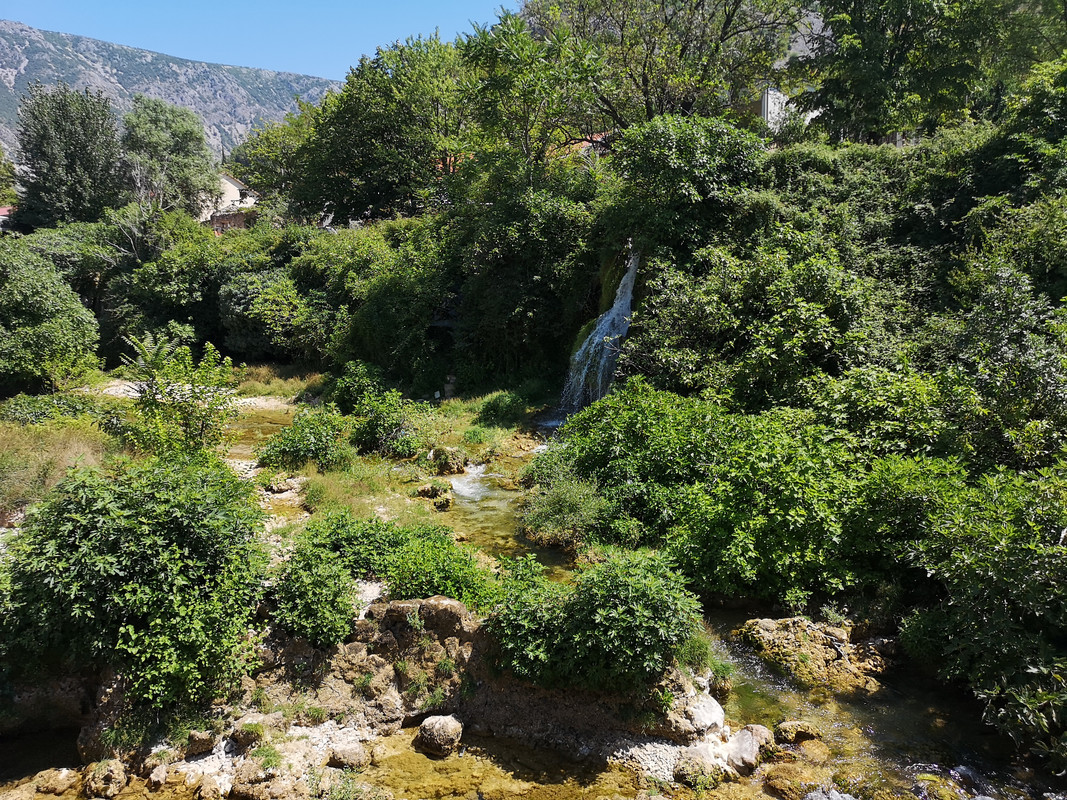 [Obrazek: IMG-20190806-121137.jpg]