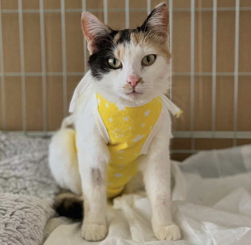 9C1E29E8-D6BF-4D8C-9E8C-5FEE25729CC6