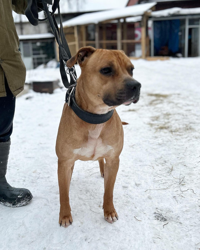 628010D8-AA05-49F9-AB98-33253E9CA618