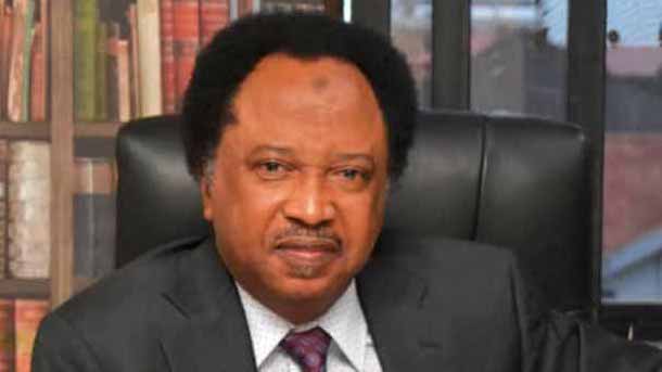 Shehu-Sani