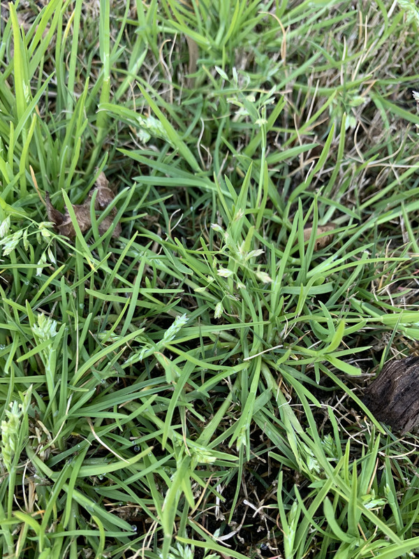 DB9A623E-EC5E-432E-BF12-1EC081CD7567