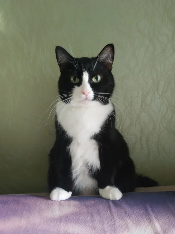 eIxdkUObQfr9I-Qlay-ndO4vanxUJxuPcIi1ULNawFj17qftFJewBZLmQ9pT6dBMPjQLsnbqnGrWhCIqfMdL6Nsl