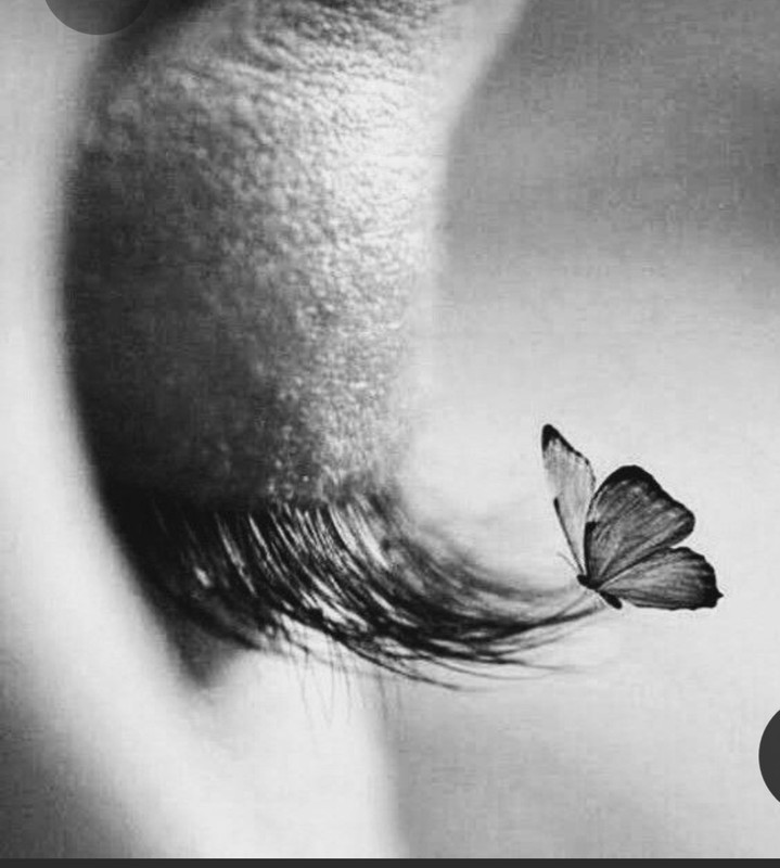 Screenshot_20230329_225309_Pinterest