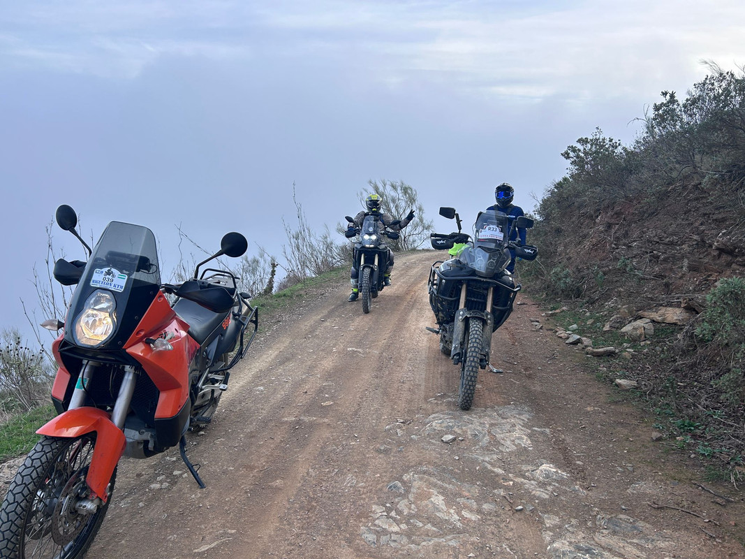 72f96d48-997f-463d-8ba4-b33c4b065bd1