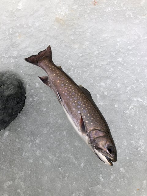 83C47786-3551-4B6B-A88D-86C8667E3A86