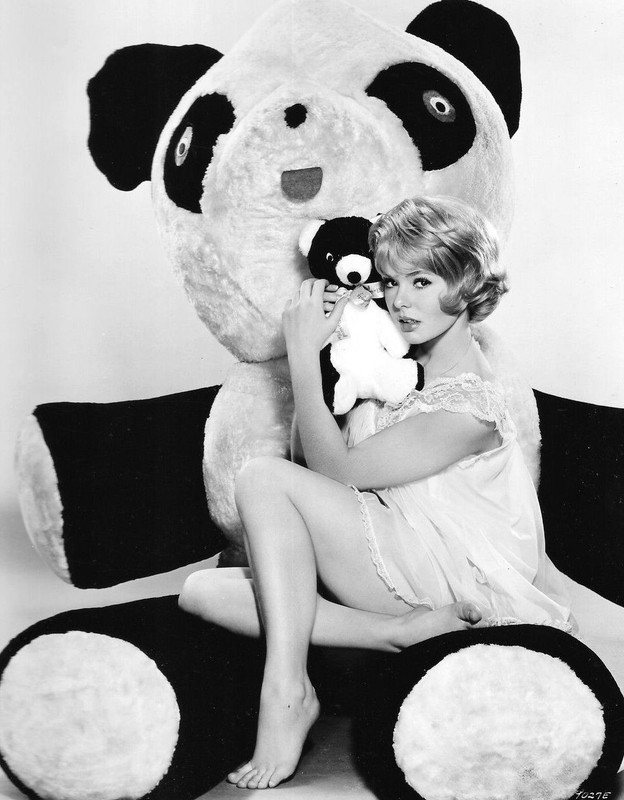 joey_heatherton_b72