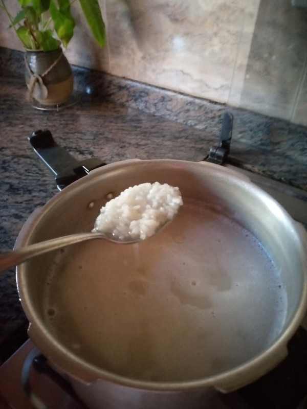 arroz 5