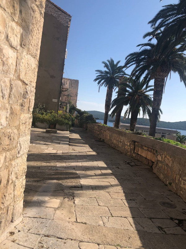 photo_2024-10-29_12-56-21