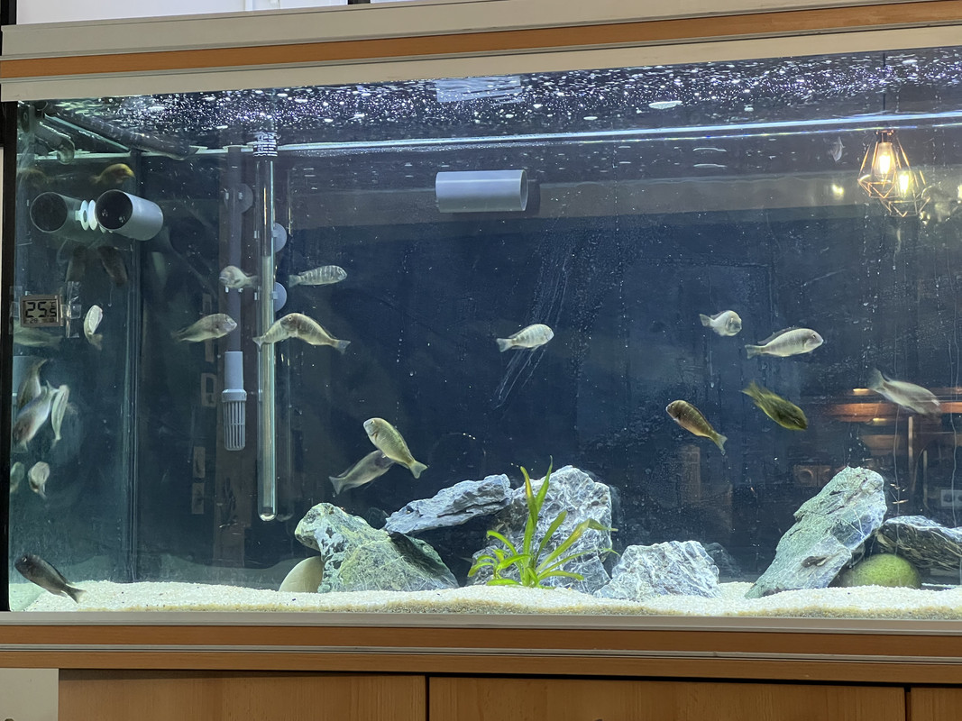 54CD873F-71E6-42A2-8986-7E27317C7622