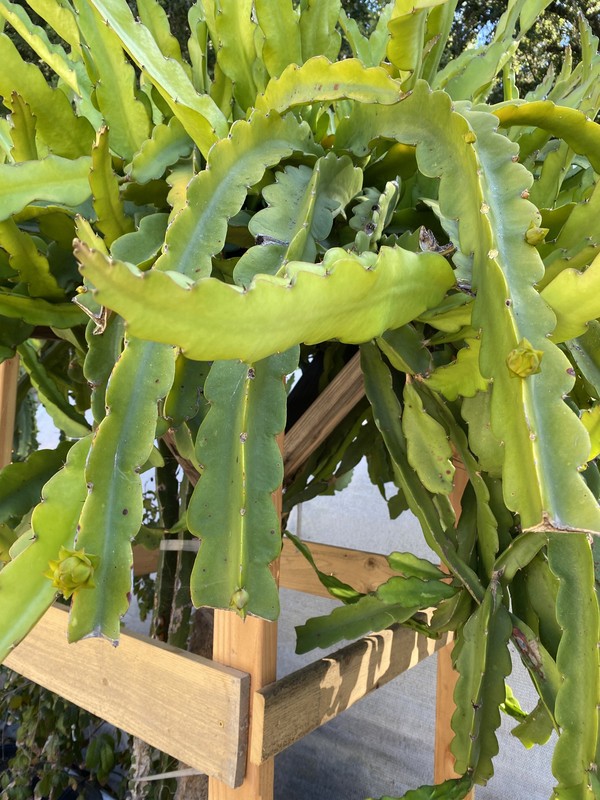 459EAE88-3291-4160-A6F4-EF60152011FB