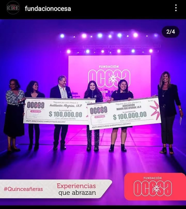 Trabajo profesional con instituciones y organizaciones — imagen 22