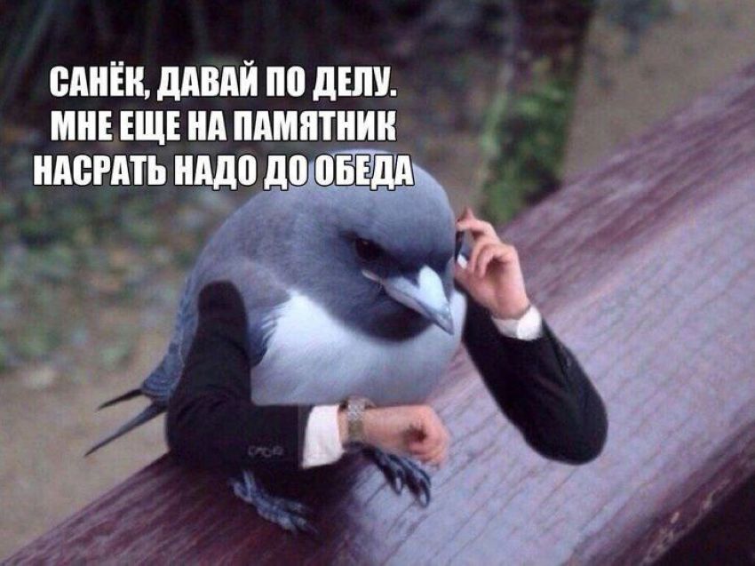 gh62-12904 - 2024-02-01T132509.695