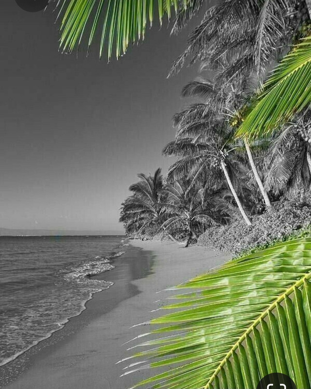 Screenshot_20230418_213059_Pinterest