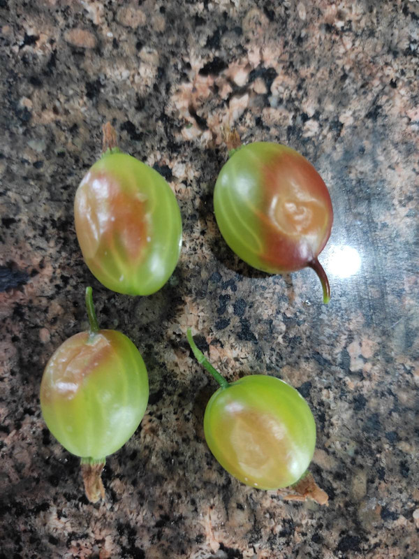 изображение_viber_2022-06-05_15-42-26-949