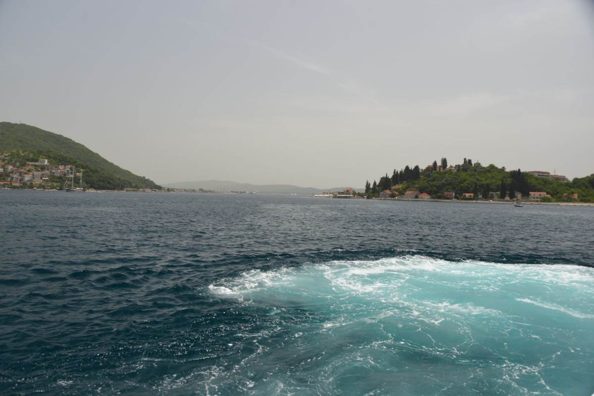 DSC-8316.jpg
