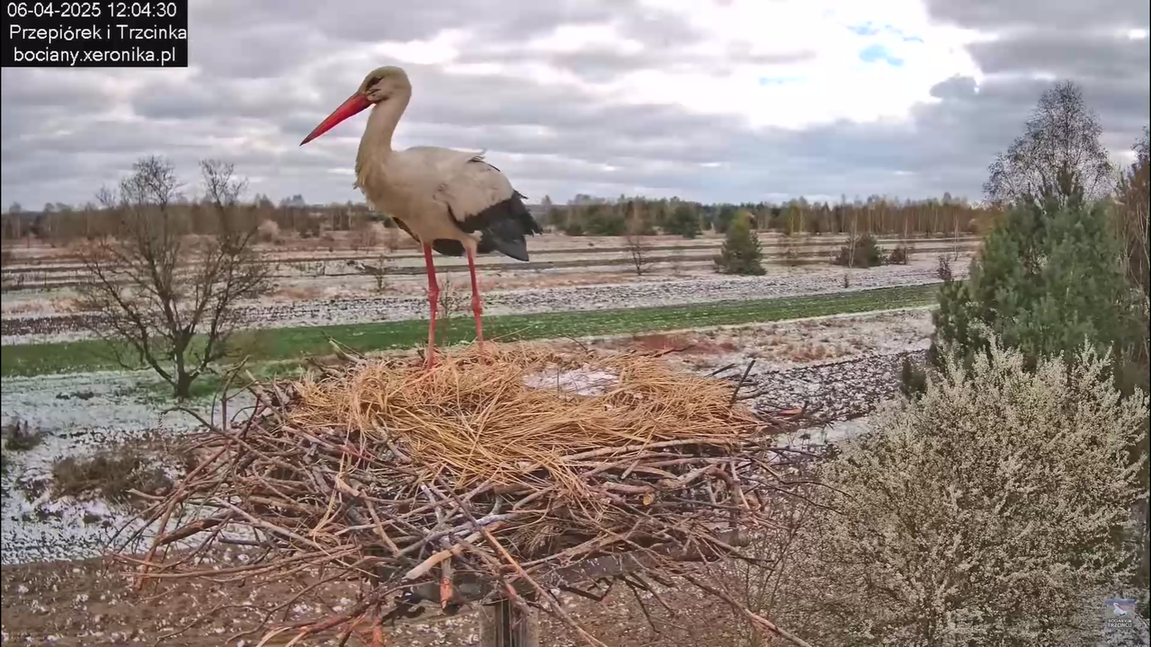 06042025minutazbocianem_20