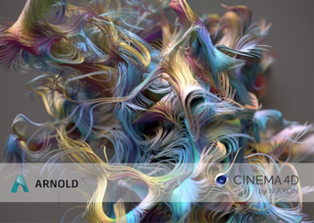Solid Angle Cinema 4D to Arnold 3.3.7.1 Solid Angle Cinema 4D to Arnold 3.3.7.1