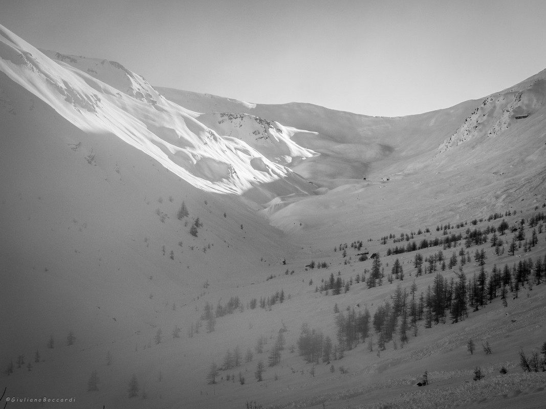 DSCF0565