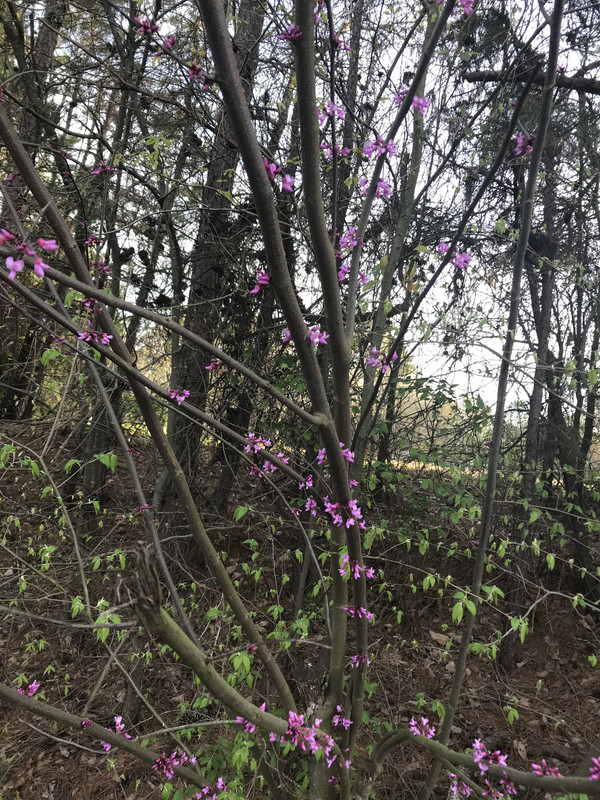 D138208E-C5EF-4EAD-83AF-42B0DBEC8895