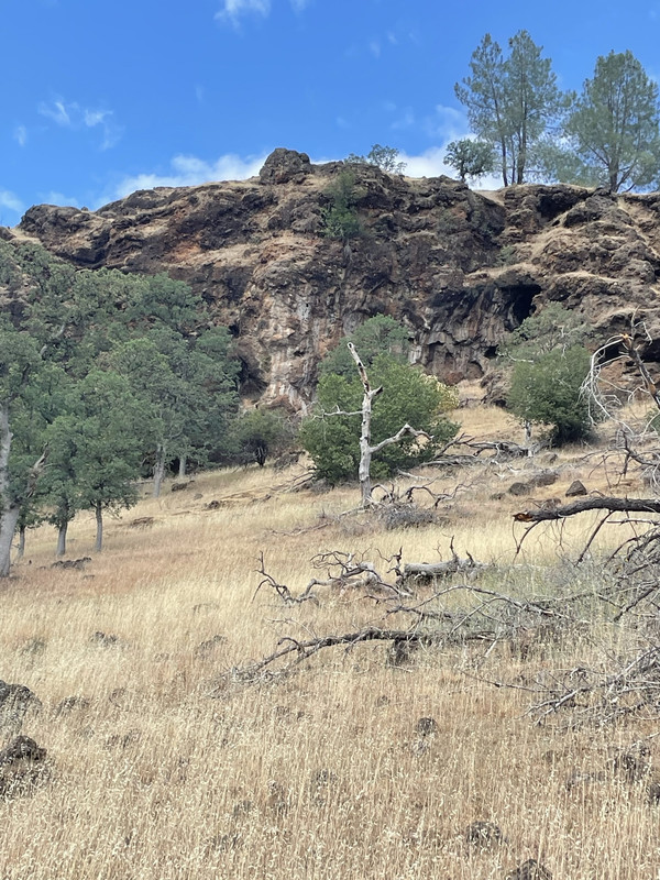 C515BDB3-77EF-4E0A-A1C5-3B8ED72BB16E