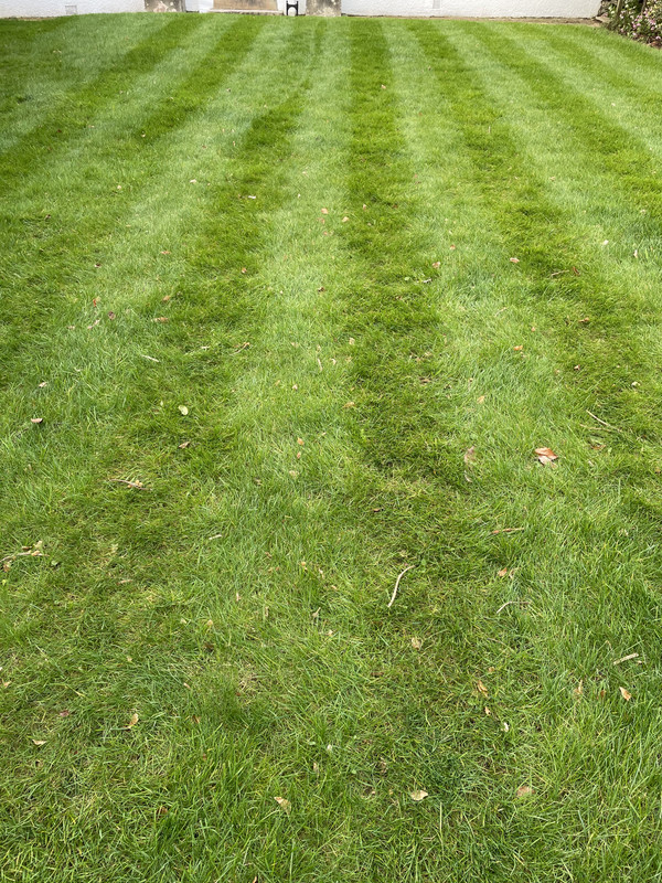 DEAFBCCE-E069-4BEB-AE2D-81E7682D78F4