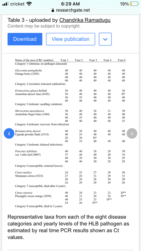 BDE3228C-60C4-4C99-9560-F1FEBB6E5F46