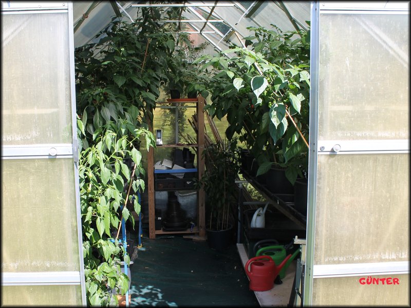 [Bild: Garten-10.jpg]
